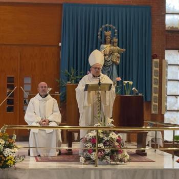 Aquilino Bocos, en la eucaristía de clausura: “El árbol de la vida consagrada, entroncado en Cristo, goza de su lozanía”